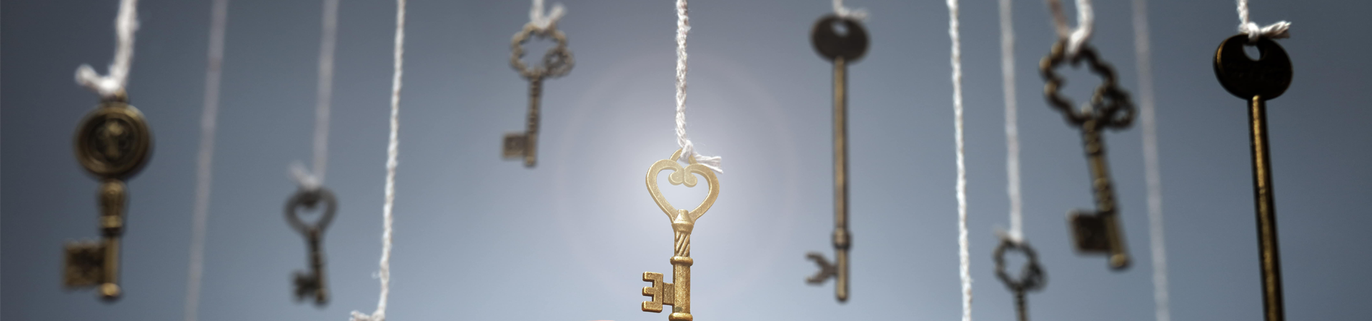 Why a website is key to a more profitable business